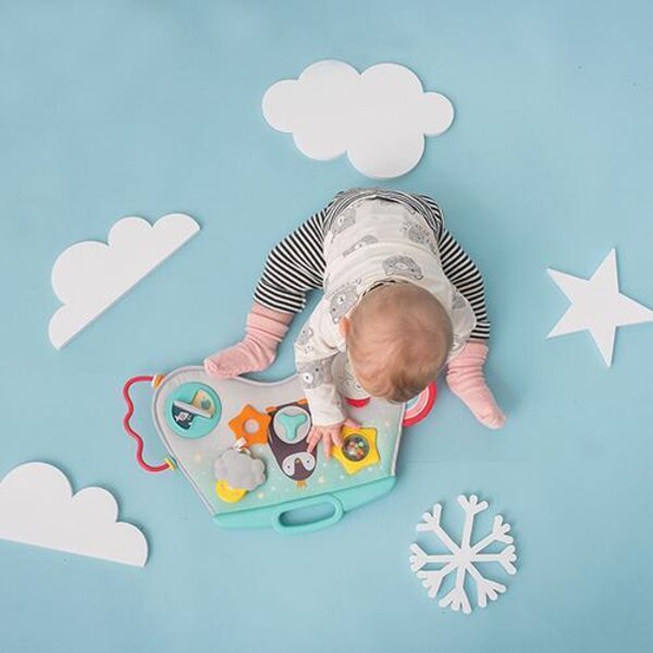 Taf Toys Laptoy activity center - Taf Toys