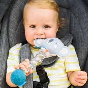 Taf Toys Koala Rainstick - Fehn