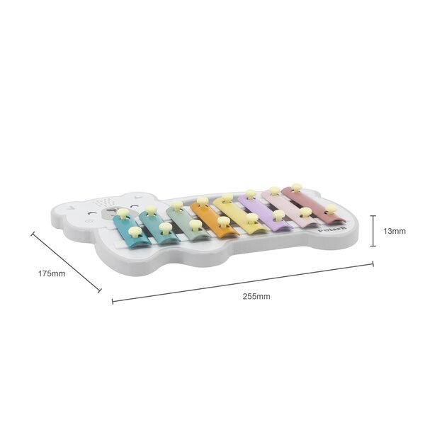 PolarB Xylophone - PolarB