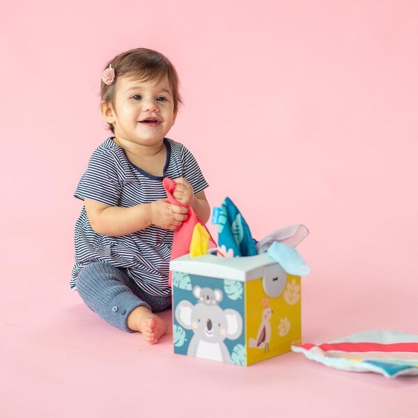 Taf Toys Kimmy Koala Wonder tissue box - Taf Toys