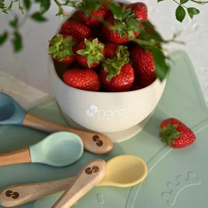 Nordbaby Silicone Suction bowl - Nordbaby