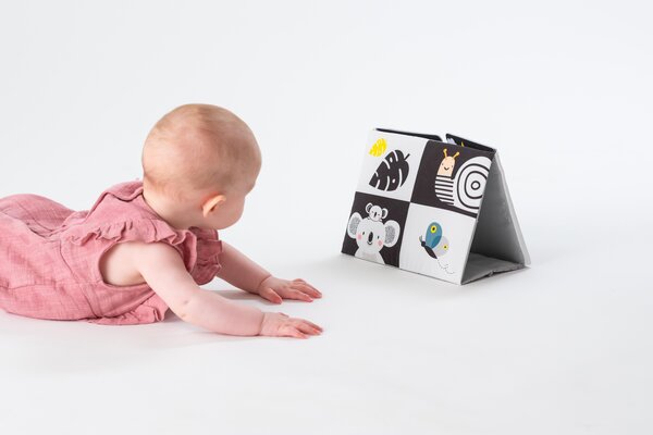 Taf Toys Tummy-time mirror Book - Taf Toys