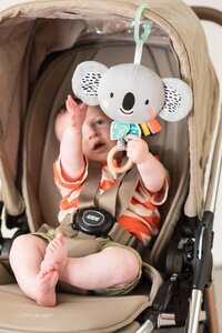 Taf Toys Kimmy Musical Koala - Taf Toys