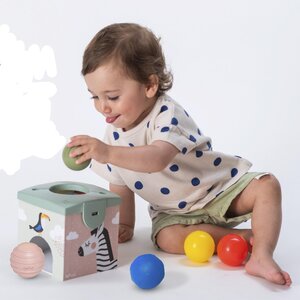 Taf Toys arendav mänguasi Magic box - Taf Toys