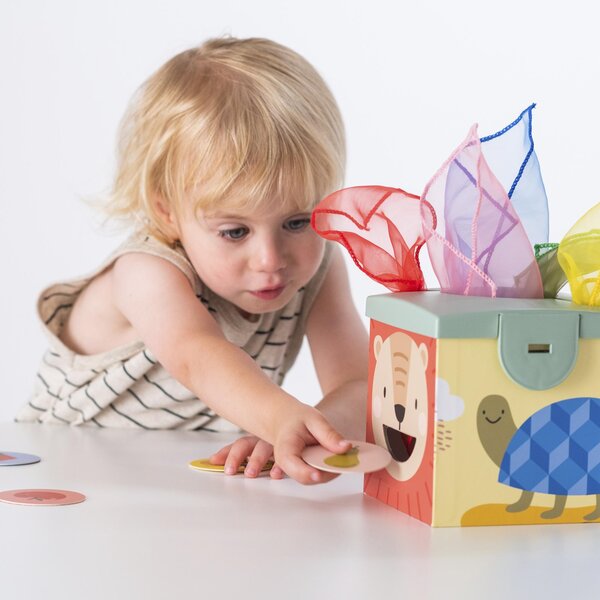 Taf Toys развивающая игрушка Magic box - Taf Toys