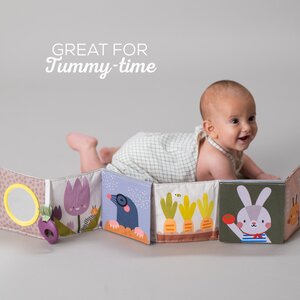 Taf Toys pram book Urban garden - Taf Toys