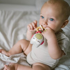 BabyOno погремушка - BabyOno