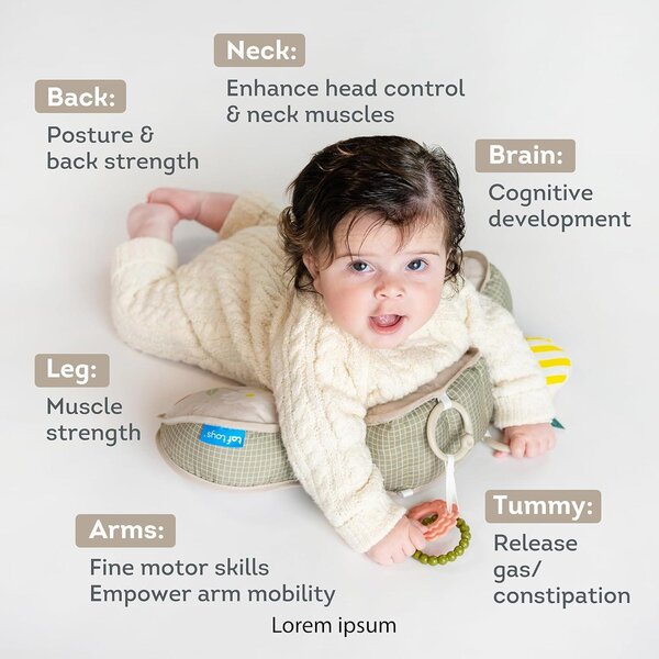 Taf Toys aktiivsuspadi Panda - Taf Toys