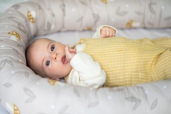 Taf Toys Little Explorer Lounger Beige - Taf Toys