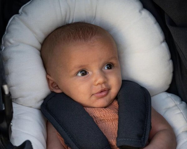 Bumbleride Organic Infant Insert  - Bumbleride