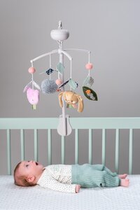 Taf Toys Urban Garden musical mobile - Fehn