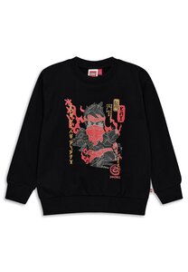 Legowear sweatshirt Lwsian 205 - Legowear